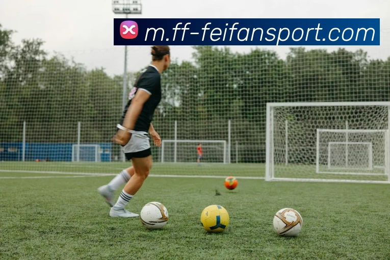 非凡体育平台生态图